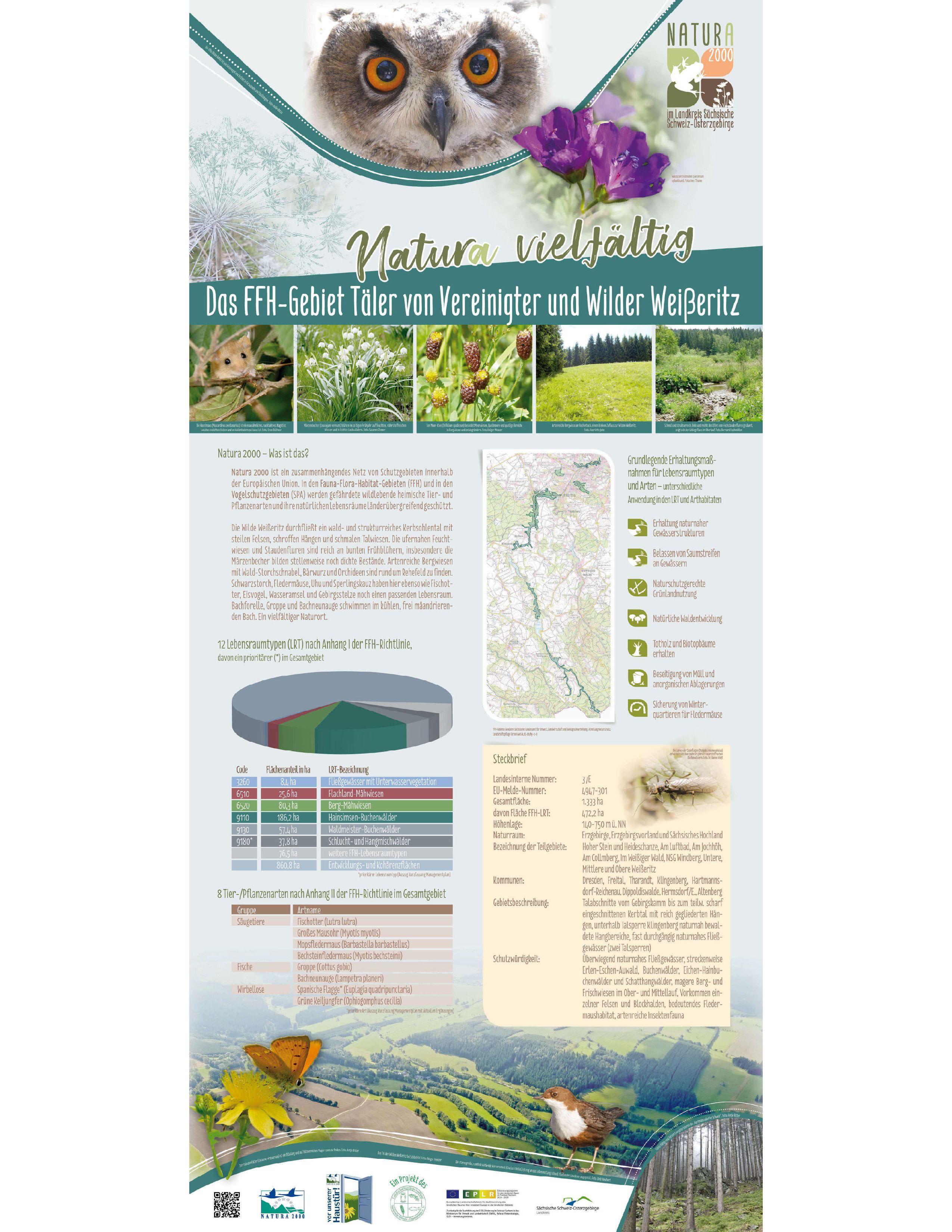 tl_files/downloads/Bilder Projekte/Projektstellen/Natura 2000 2.0/Rollups/Taeler von Vereinigter und Wilder Weisseritz.jpg